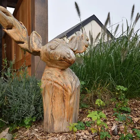 Grandeur With Sauna & Jacuzzi In Villa